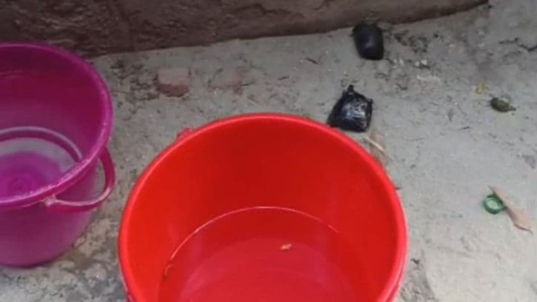 ফতুল্লায় প্রকাশ্যে বোমা ফাটিয়ে প্রবাসীর বাড়িতে ডাকাতি